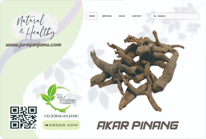 Jual Akar Pinang eceran dan grosir