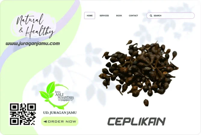 Jual Ceplikan Eceran Grosir Ud Juragan Jamu Jogja