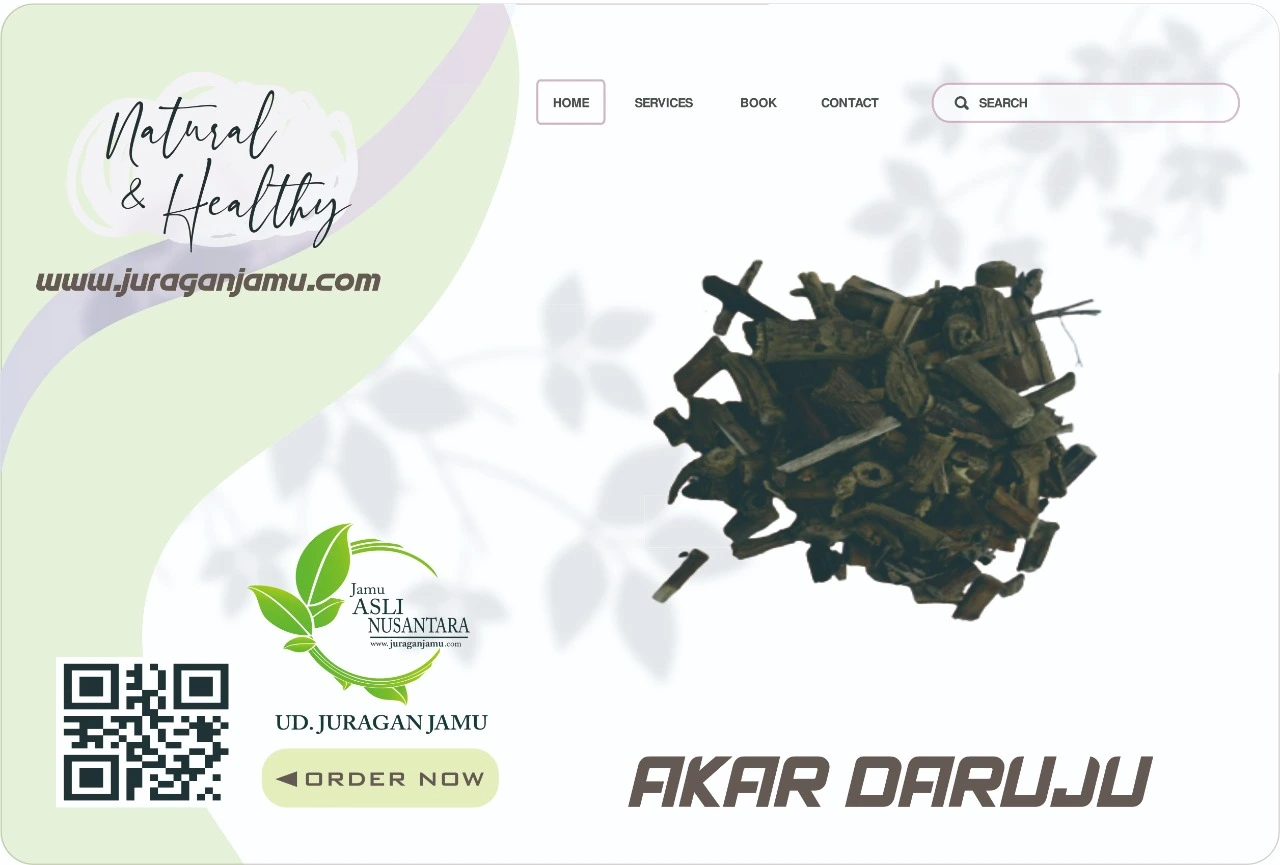 Jual Daruju Harga Grosir Ud Juragan Jamu Sleman Yogyakarta