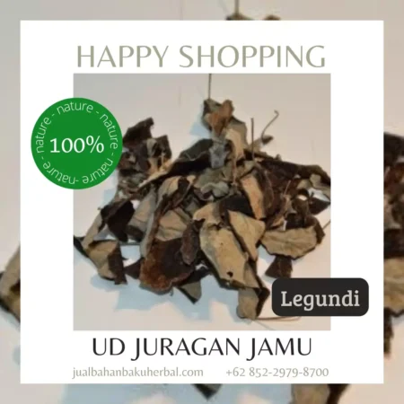 Jual Daun Legundi Harga Grosir Ud Juragan Jamu Sleman Jogja