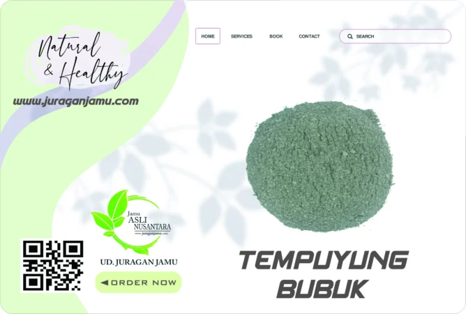 Jual Daun Tempuyung Kering Ud Juragan Jamu Jogja