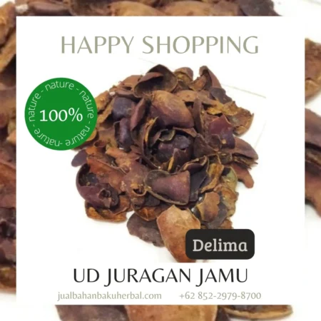 Jual Delima Harga Grosir Ud Juragan Jamu Jogja