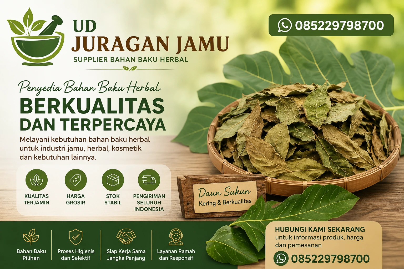 jual daun sukun kering
