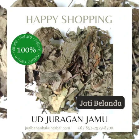 Jual Daun Jati Belanda Herbal Alami Ud Juragan Jamu Jogja