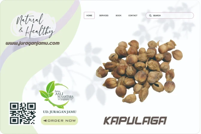 Jual Kapulaga Harga Grosir Ud Juragan Jamu