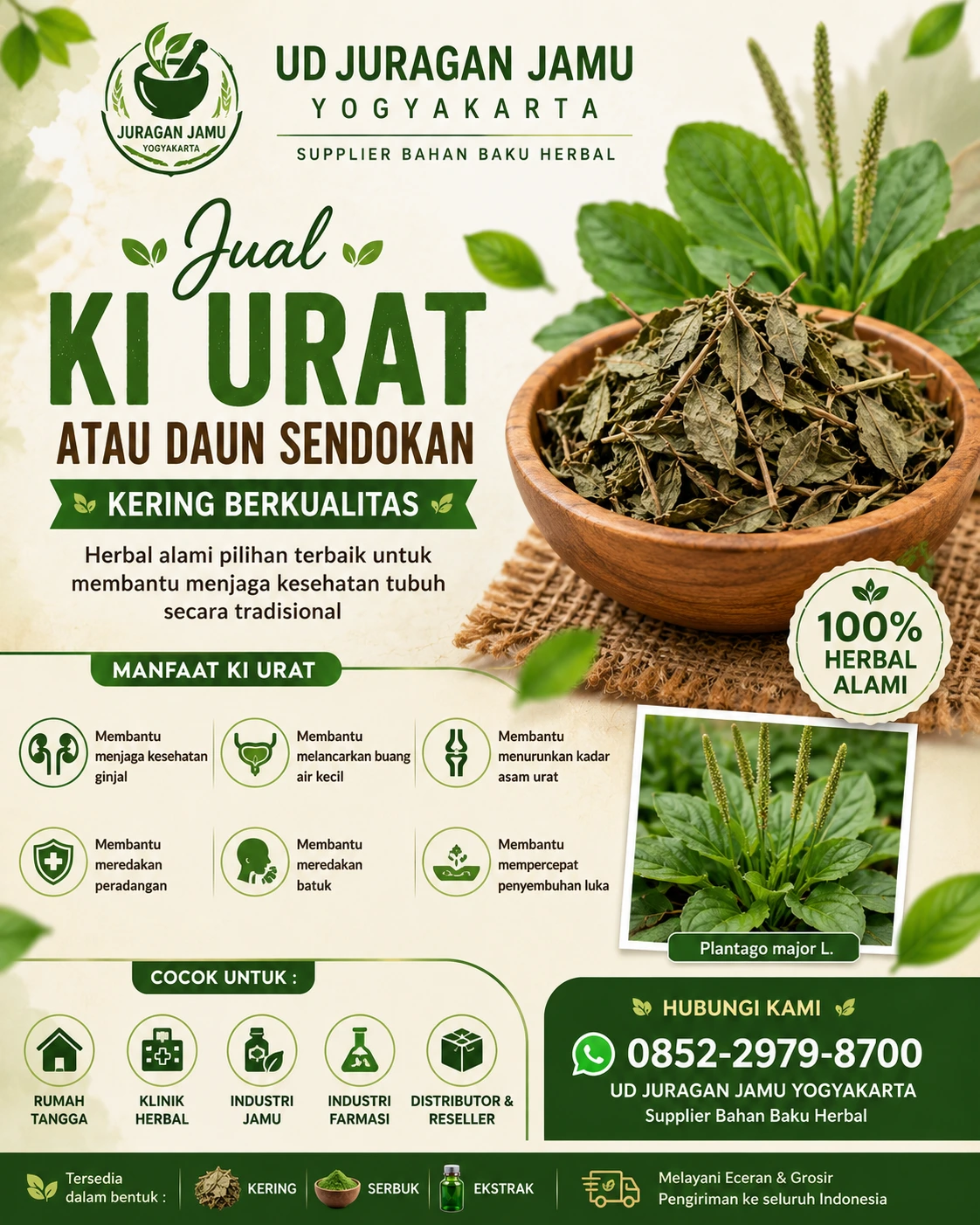 jual-ki-urat