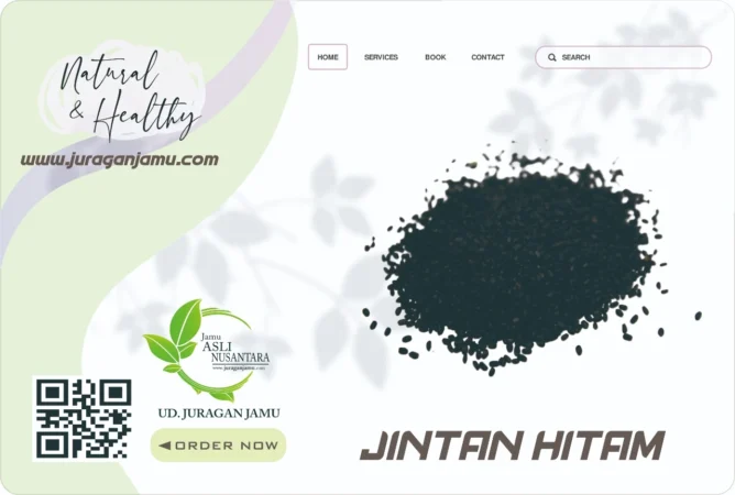 Jual Jintan Hitam Harga Grosir Ud Juragan Jamu Jogja