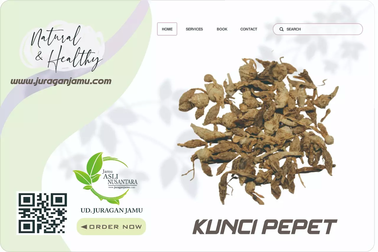 Jual Kunci Pepet Grosir Ud Juragan Jamu Jogja