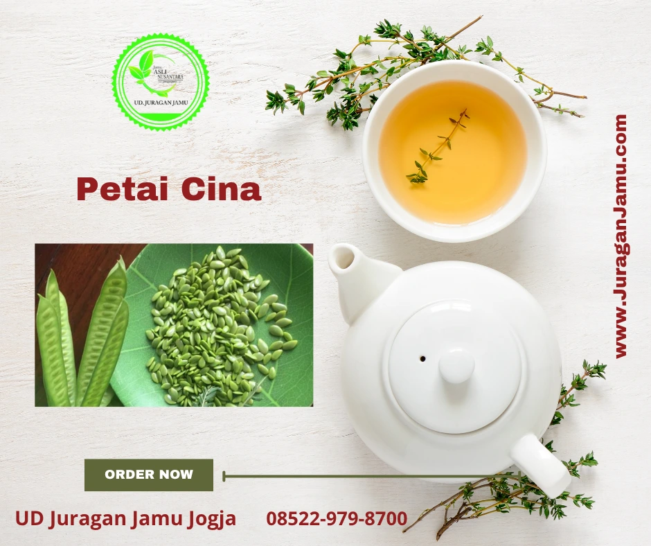 jual petai cina lamtoro