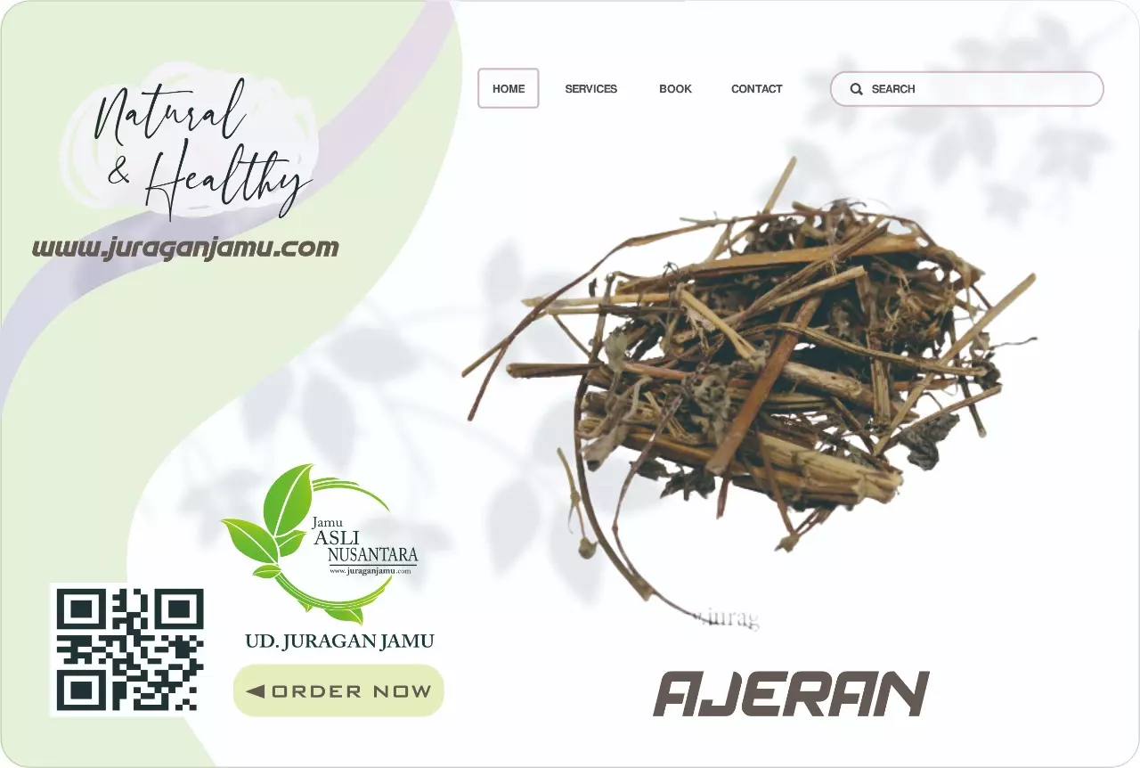 Jual Ajeran Kering Eceran Grosir Di Ud Juragan Jamu Jogja