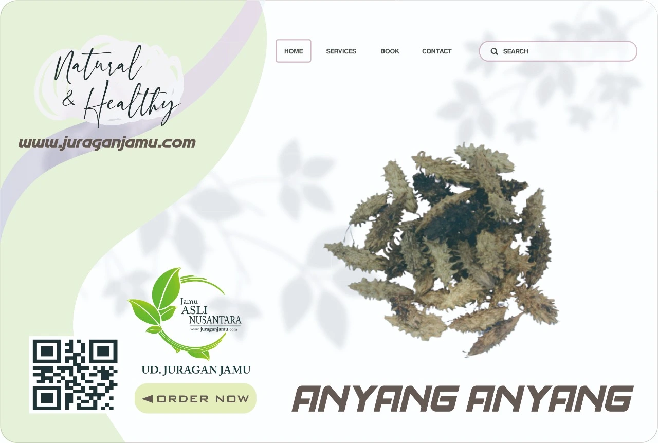 Jual Anyang-Anyang Harga Grosir di Jogja