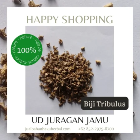 Jual Tribulus Terrestris Murah Ud Juragan Jamu Jogja