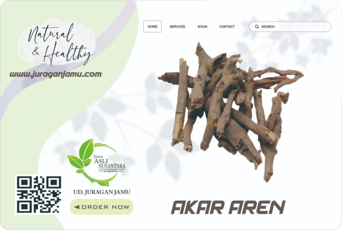 Jual Akar Aren Eceran dan Grosir