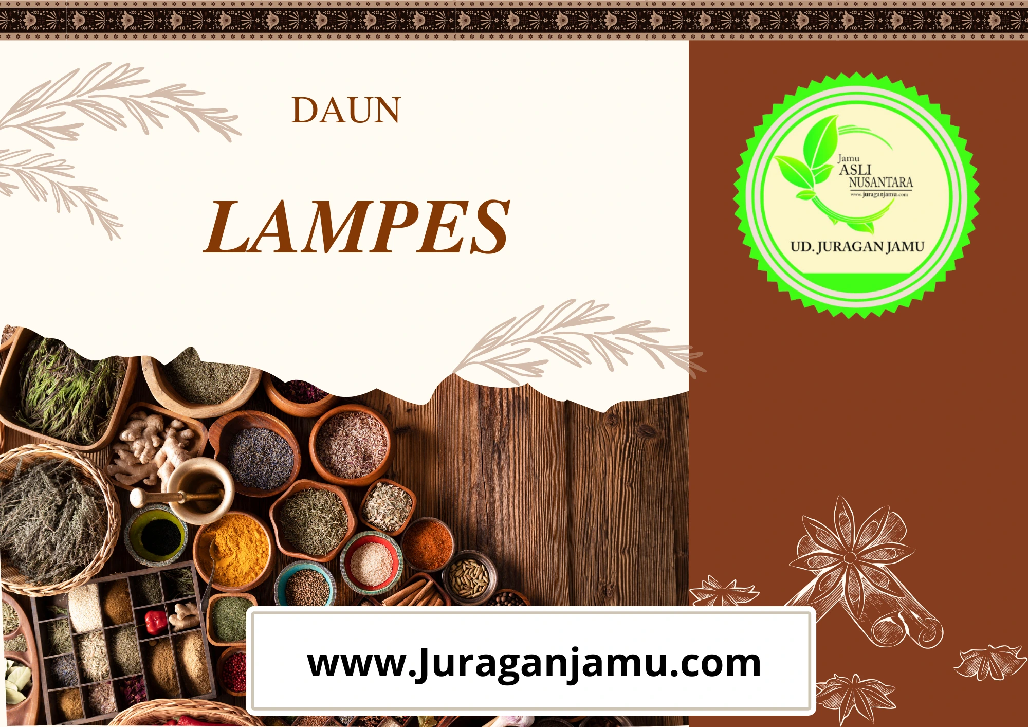 Grosir Daun Lampes Ud Juragan Jamu Jogja