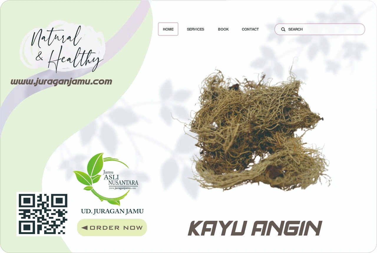 Jual Akar Angin Harga Grosir Ud Juragan Jamu Jogja