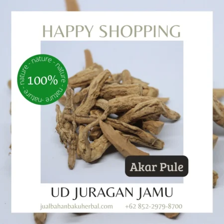 Jual Akar Pule Pandak Ud Juragan Jamu Jogja