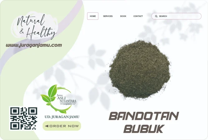 Jual Bandotan Harga Grosir Di Ud Juragan Jamu Sleman Jogja