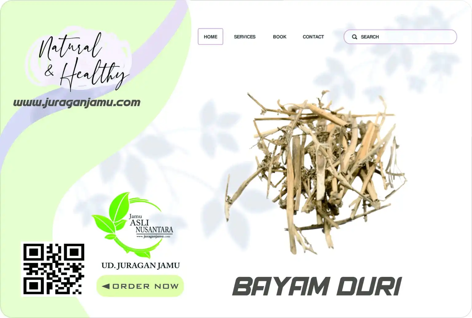 Jual Bayam Duri Kering Kiloan Di Sleman Jogja