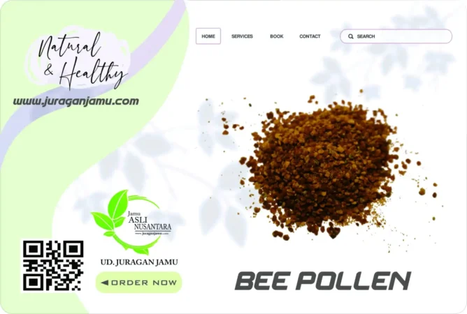 Jual Bee Pollen Eceran Dan Grosir Di Sleman Jogja