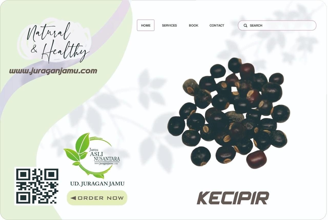 Jual Biji Kecipir Harga Grosir Ud Juragan Jamu Jogja