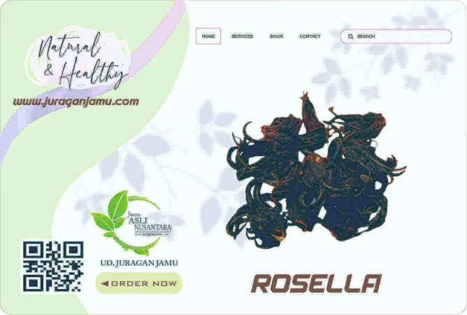 Jual Bunga Rosella Eceran Grosir Ud Juragan Jamu Jogja