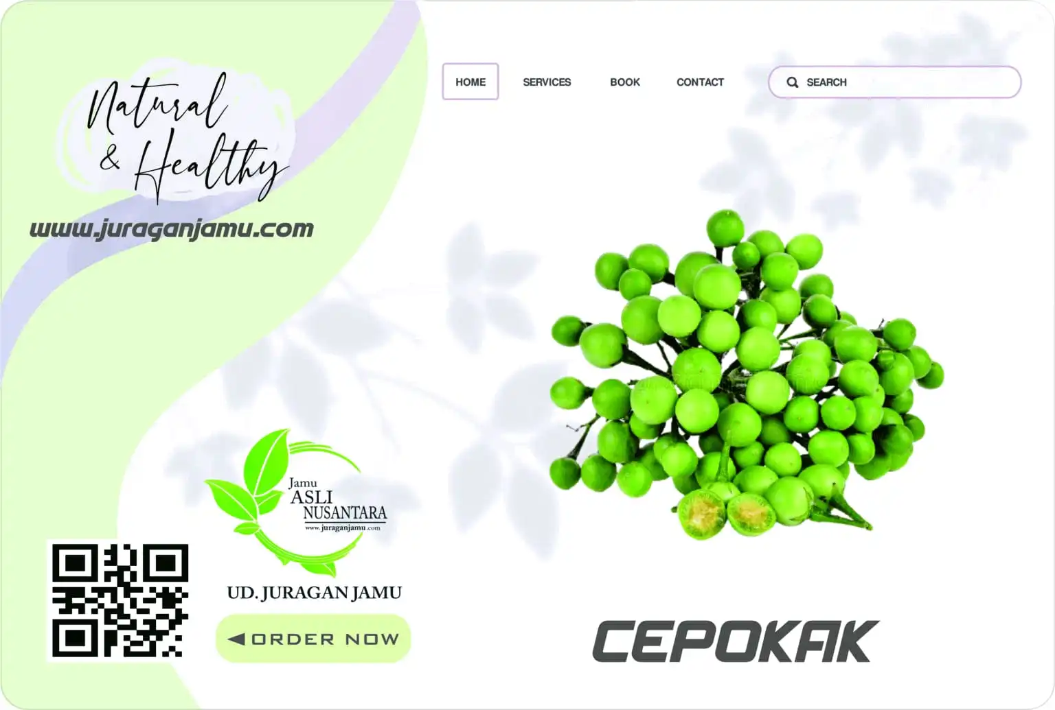 Jual Cepokak Harga Grosir Di Ud Juragan Jamu Jogja