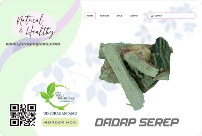 Jual Dadap Serep Harga Hemat Di Ud Juragan Jamu Sleman Jogja