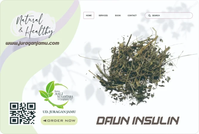 Jual Daun Insulin Harga Grosir Ud Juragan Jamu Jogja