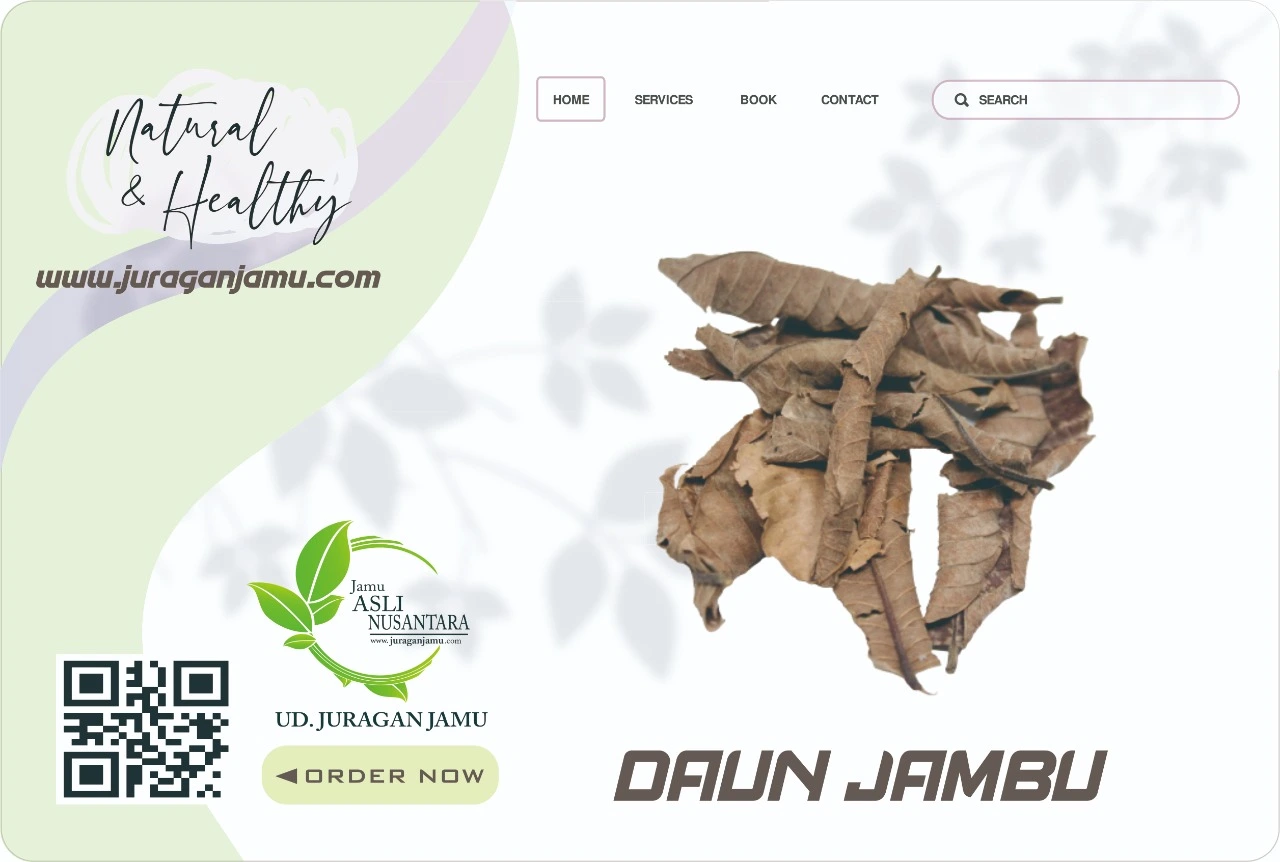 Jual Daun Jambu Biji Harga Grosir Ud Juragan Jamu Jogja