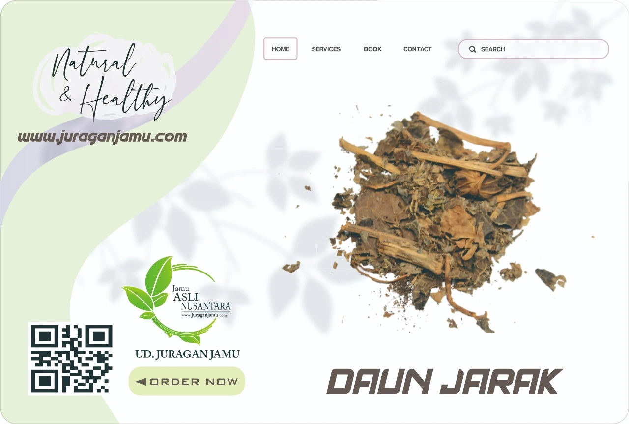 Jual Daun Jarak Harga Grosir Ud Juragan Jamu Jogja