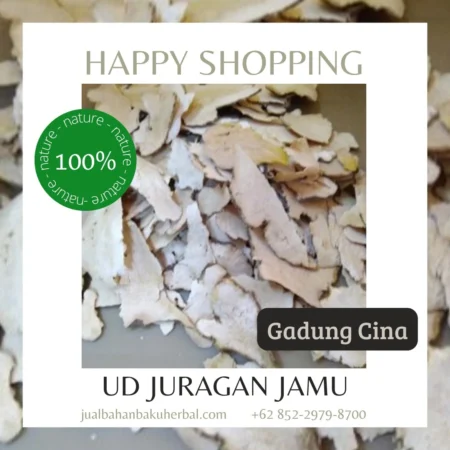 Jual Gadung Cina Harga Grosir Ud Juragan Jamu Jogja