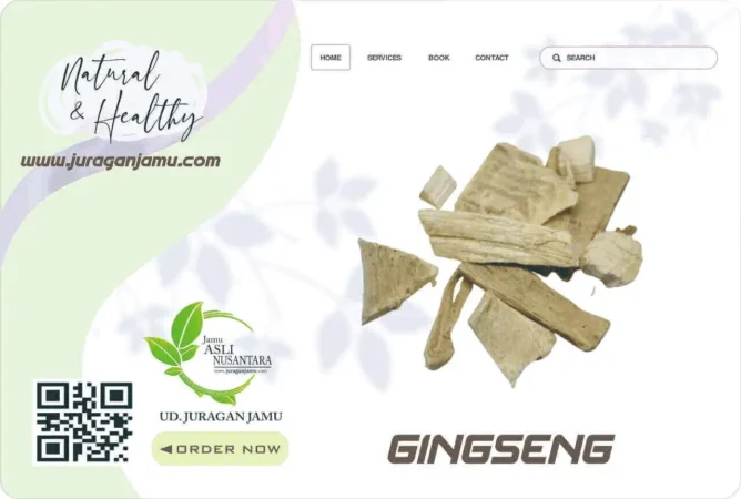 Jual Gingseng Harga Grosir Ud Juragan Jamu Jogja