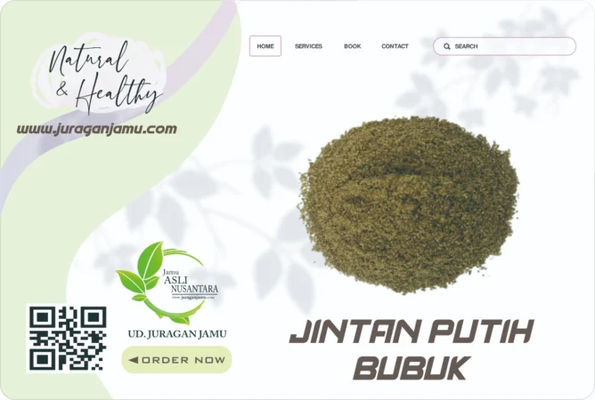 Jual Jintan Putih Harga Grosir Ud Juragan Jamu Jogja