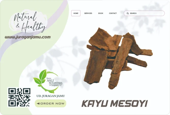 Jual Kayu Mesoyi Kering Ud Juragan Jamu Jogja