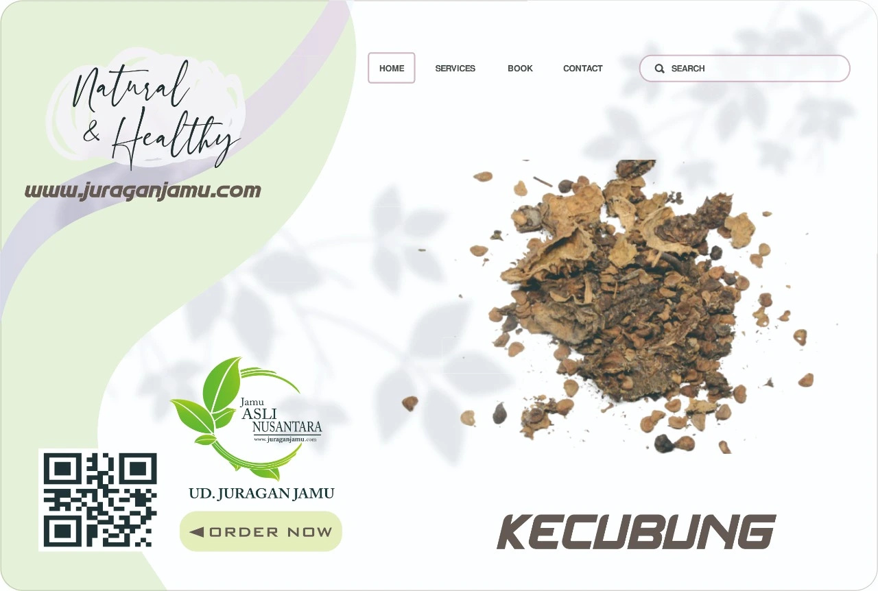 Jual Kecubung Harga Grosir Ud Juragan Jamu Jogja