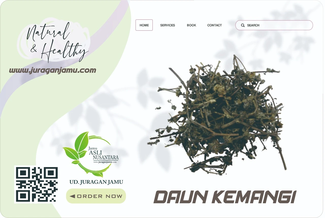 Jual Kemangi Harga Grosir Ud Juragan Jamu Jogja