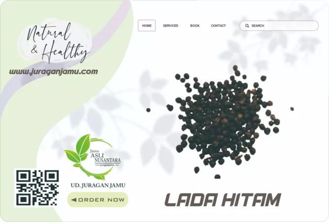 Jual Lada Hitam Eceran Grosir Ud Juragan Jamu Jogja