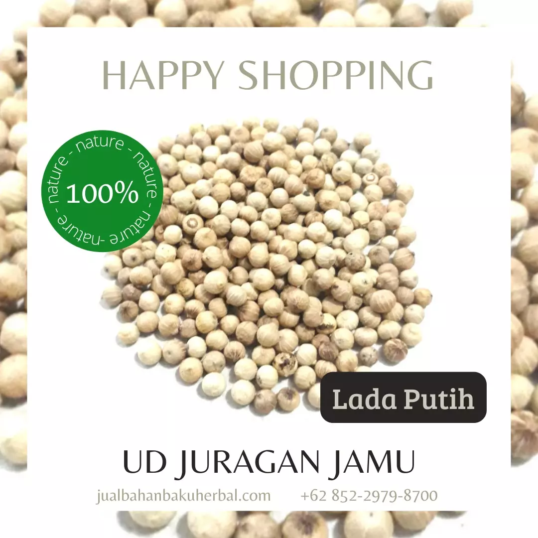 Jual Lada Putih Harga Grosir Ud Juragan Jamu Sleman Jogja