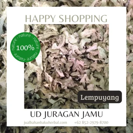 Jual Lempuyang Harga Grosir Ud Juragan Jamu Jogja