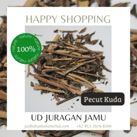 Jual Pecut Kuda Atau Jarong Harga Grosir Ud Juragan Jamu Jogja