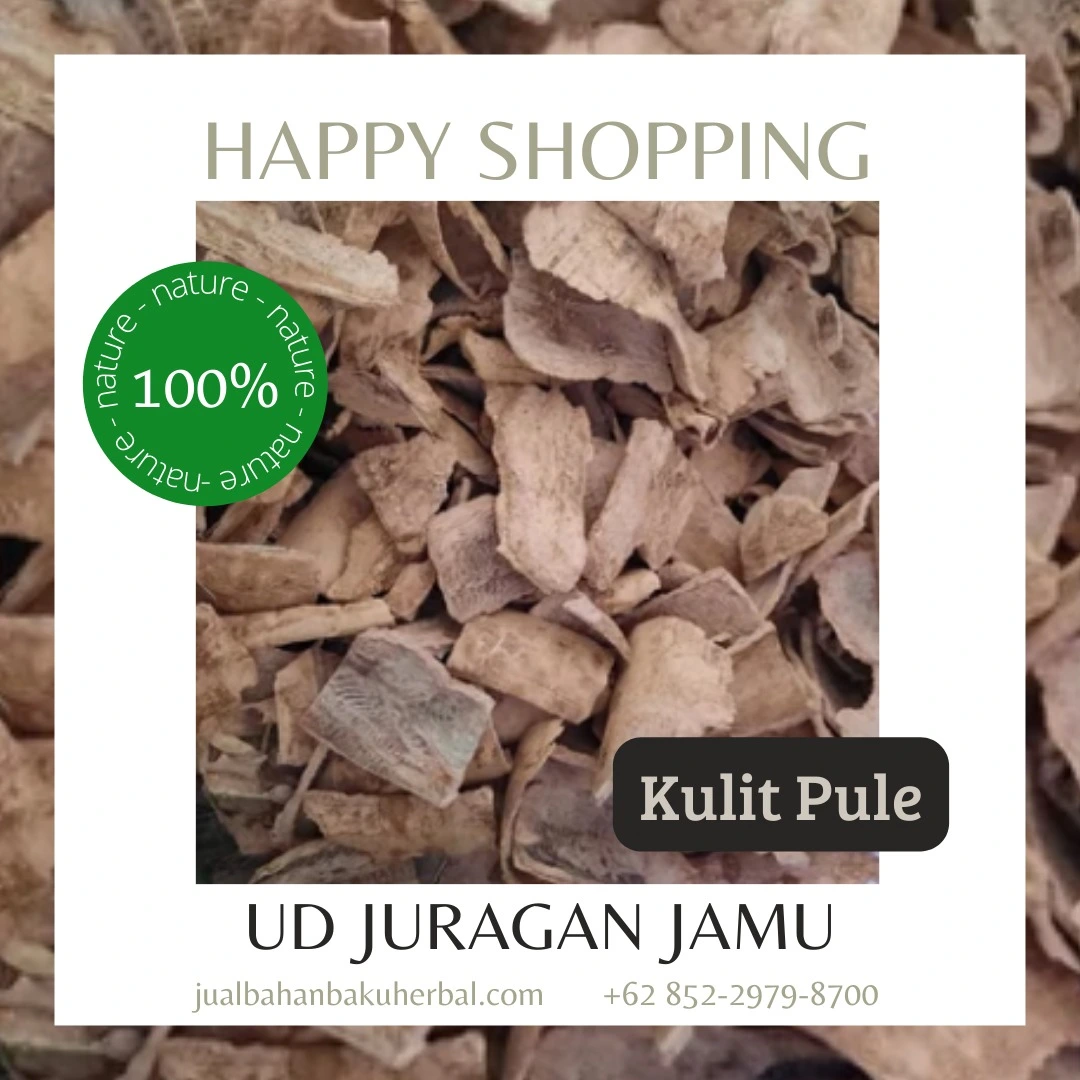 Jual Pulai Harga Grosir Ud Juragan Jamu Jogja