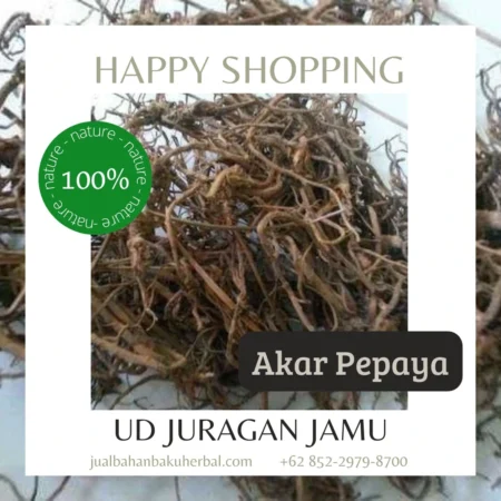 Jual akar pepaya kering Eceran & Grosir di Ud Juragan Jamu Jogja