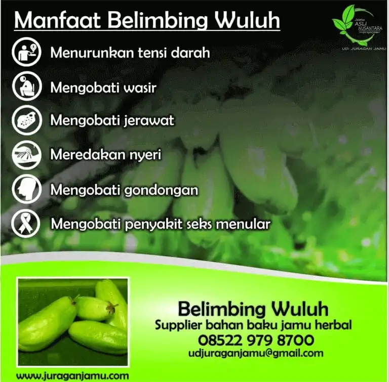 Jual belimbing wuluh kering DI Ud Juragan Jamu Jogja