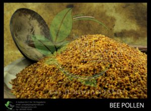 jual bee pollen asli