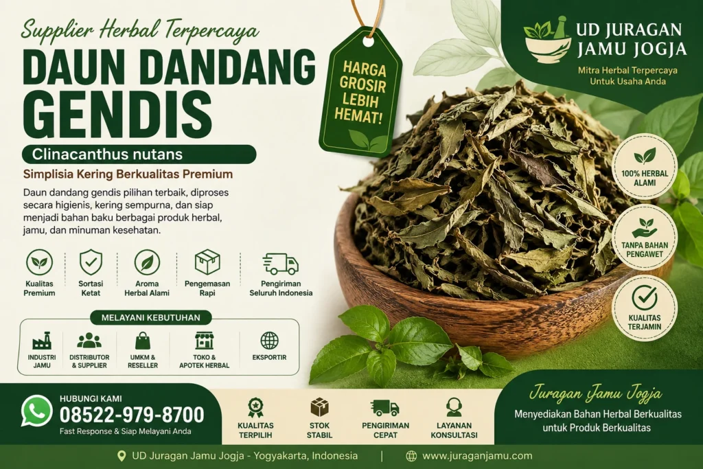 jual daun dandang gendis harga grosir