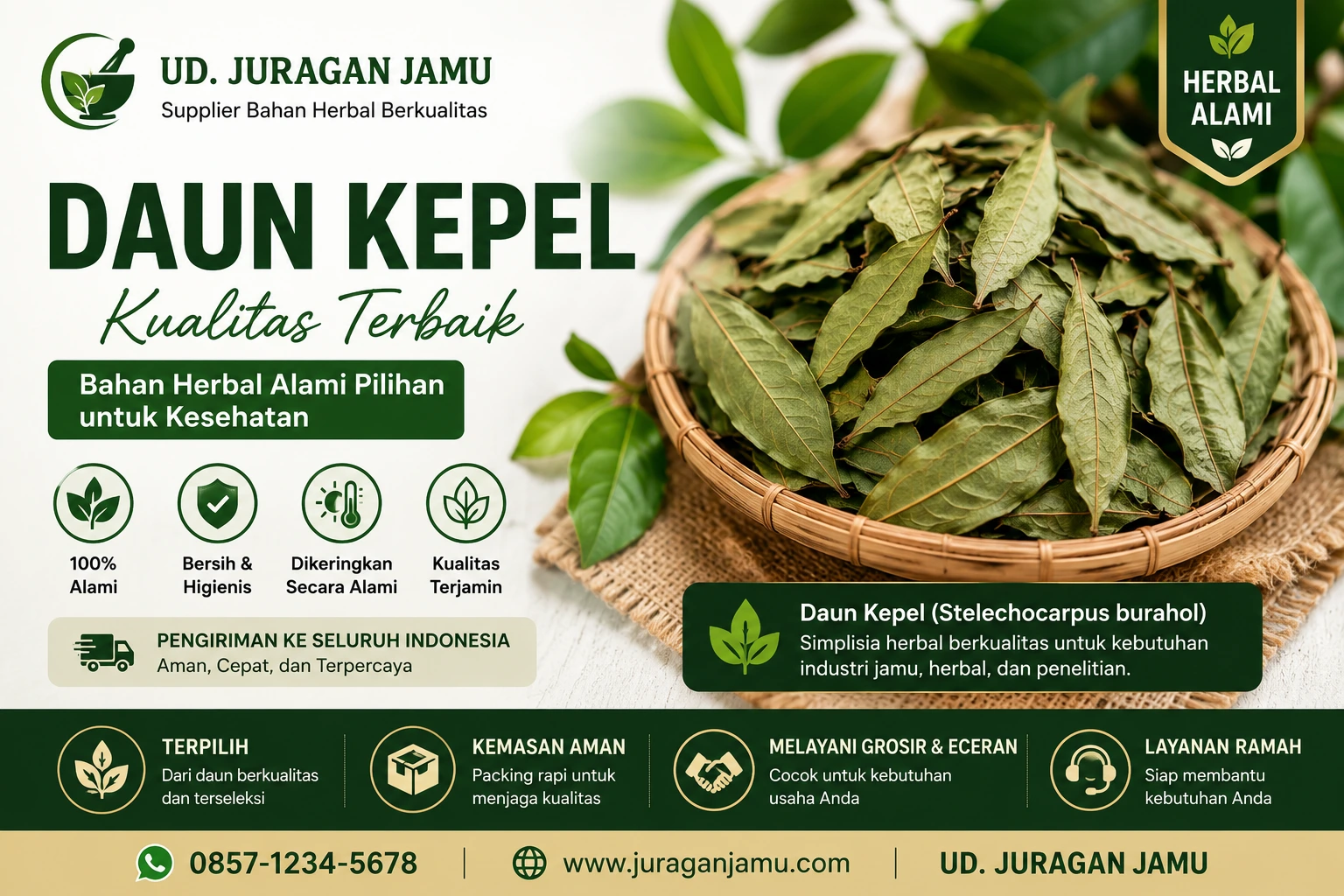 jual daun kepel