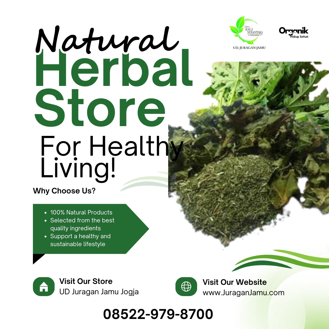 jual daun pepaya harga grosir