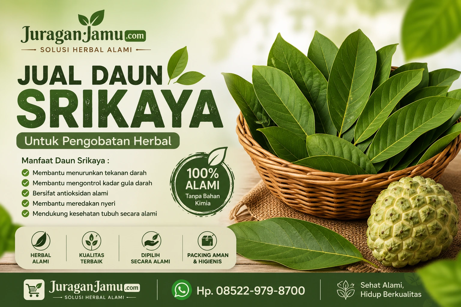 jual daun srikaya