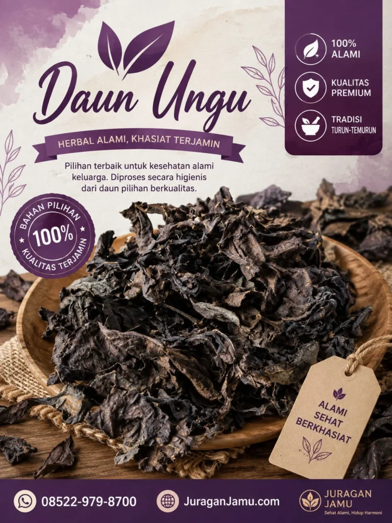 jual daun ungu harga grosir