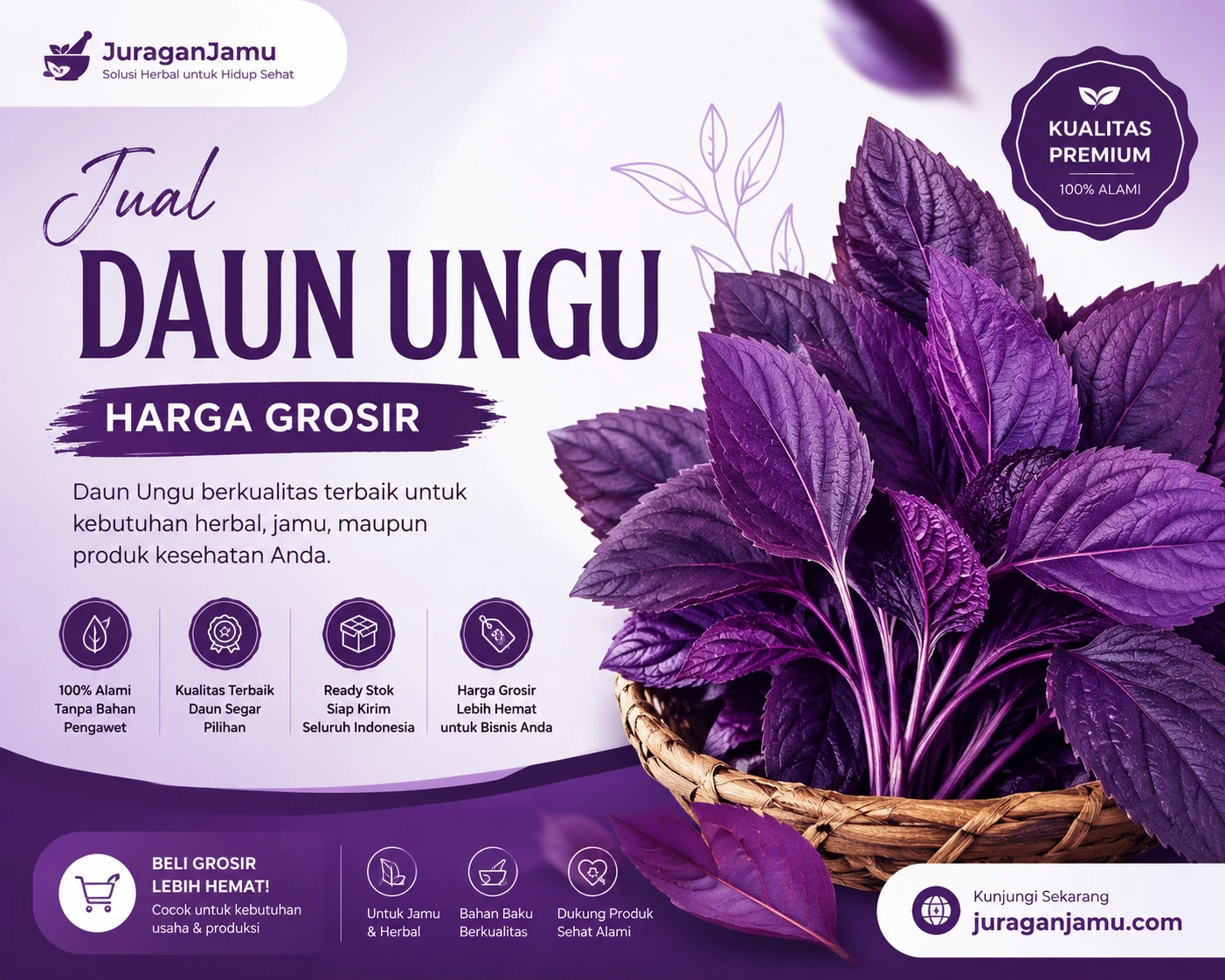 jual daun ungu harga grosir